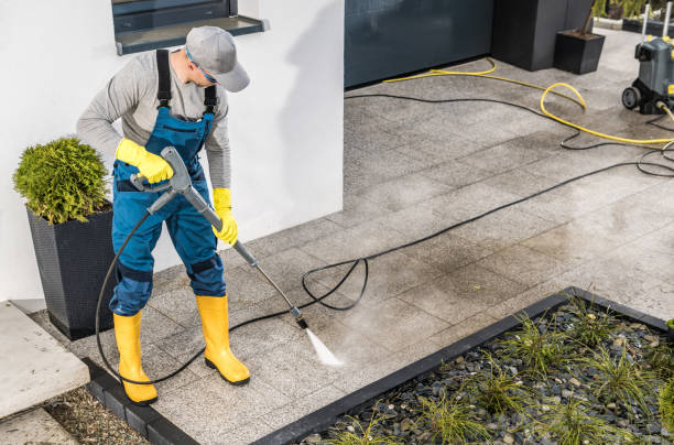 Best Affordable Pressure Washing  in Hamburg, IA